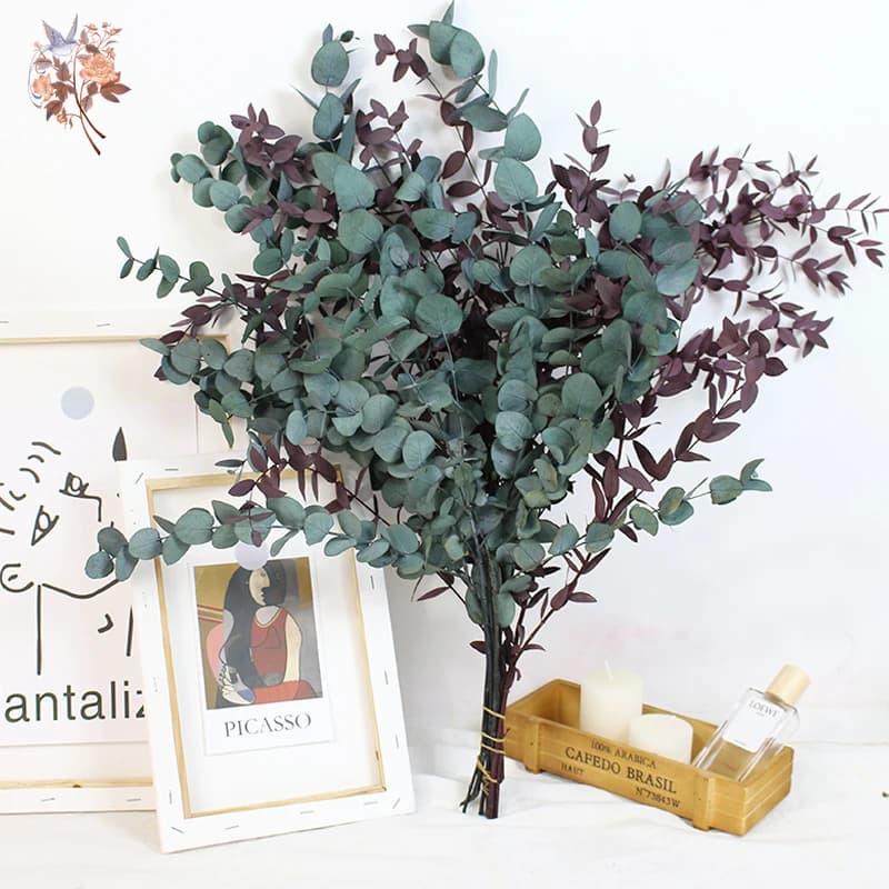 Feuille d'eucalyptus éternelle