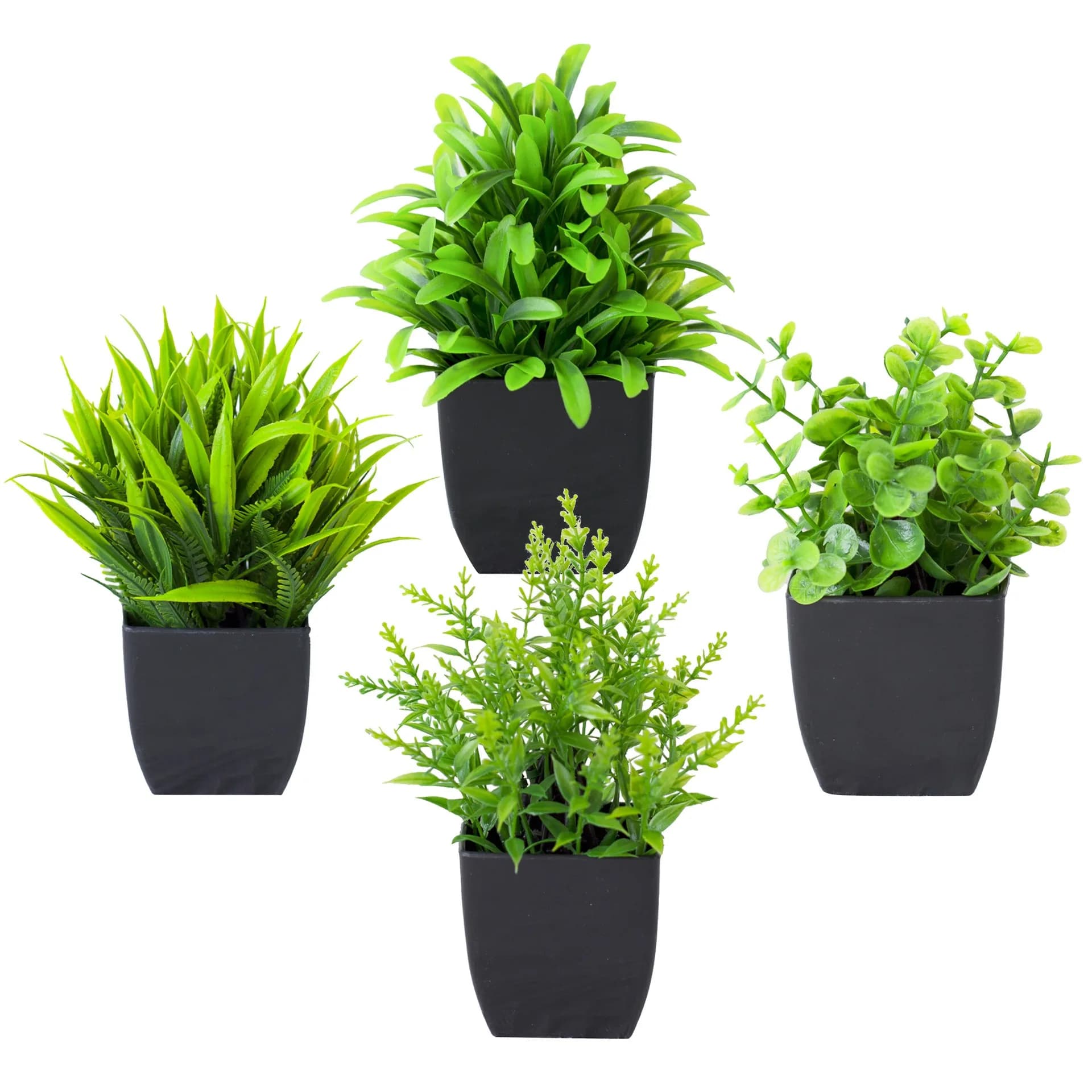 Pot noir de fausse plante