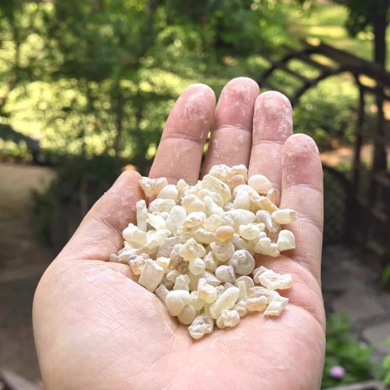 Résine d'encens Oman Hojari de qualité supérieure, grasse et aromatique pour la méditation, le sommeil profond, le parfum de la maison, l'encens de guérison spirituelle