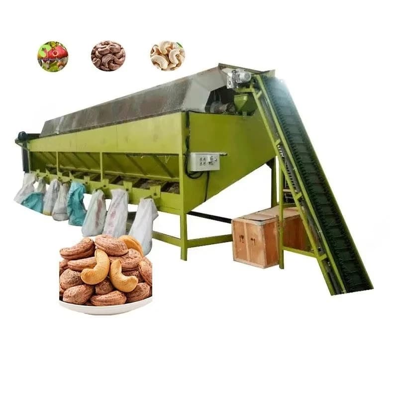 Ligne de traitement des noix entièrement automatique sur mesure pour la production de noix de cajou brutes, machines automatiques pour la production de noix de cajou pour usine