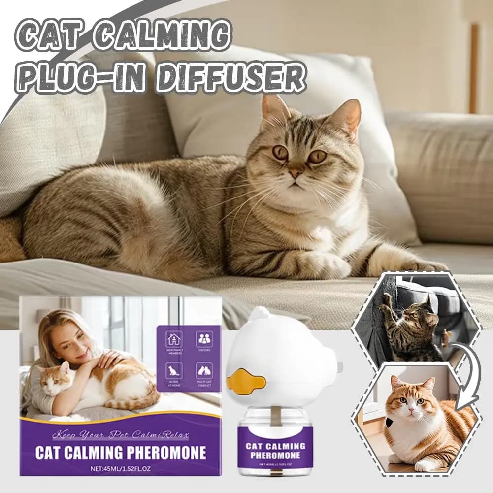 Diffuseur de phéromones apaisantes pour chat, à brancher, réduit le stress, la peur, l'anxiété de séparation, anti-comportement destructeur, fournitures relaxantes pour chat