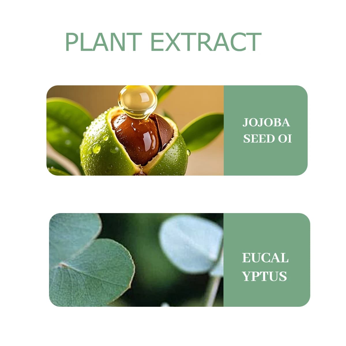 Huile essentielle d'eucalyptus 30 ml/60 ml/100 ml, extrait de plante 100 % pur, parfum frais et fruité, fragrance longue durée