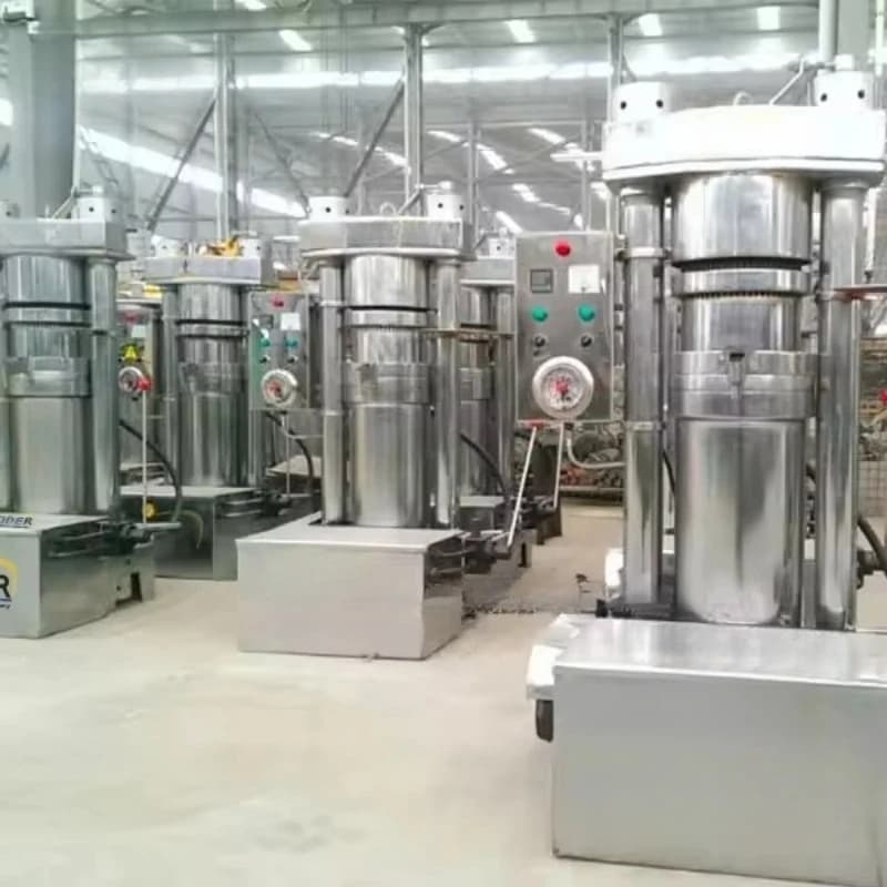 Machine personnalisée de presse à huile d'avocat pour l'extraction d'huile de soja de noix de piment d'olive Baobab opération facile offre spéciale