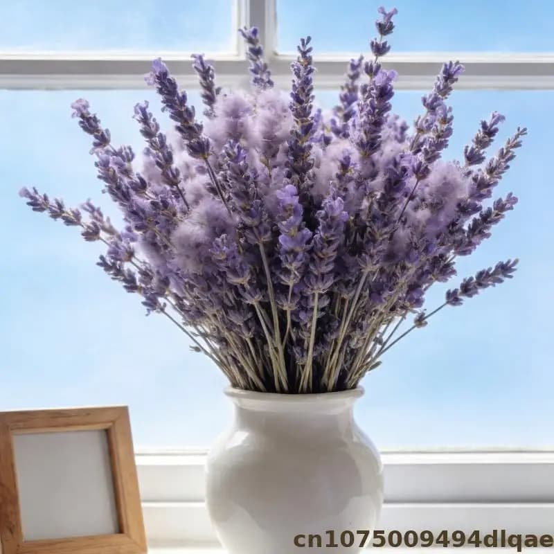Fleur de lavande pour Sachet de pot-pourri