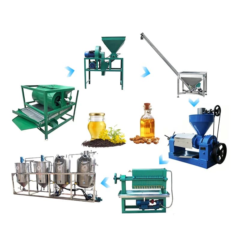 Presse à huile spirale pour la fabrication d'huile de cuisson à froid à partir de graines de tournesol, de sésame, d'arachide et de soja, personnalisable