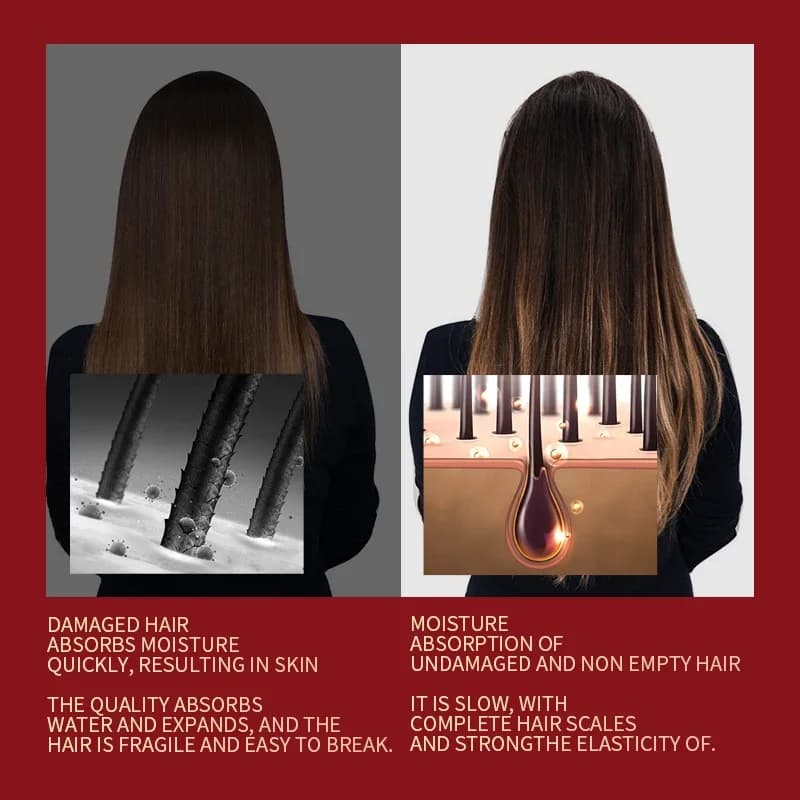 Diffuseur de cheveux universel Adaptable pour sèche-cheveux avec conception rotative cheveux bouclés grande capuche de vent forme fixe dispersant le vent