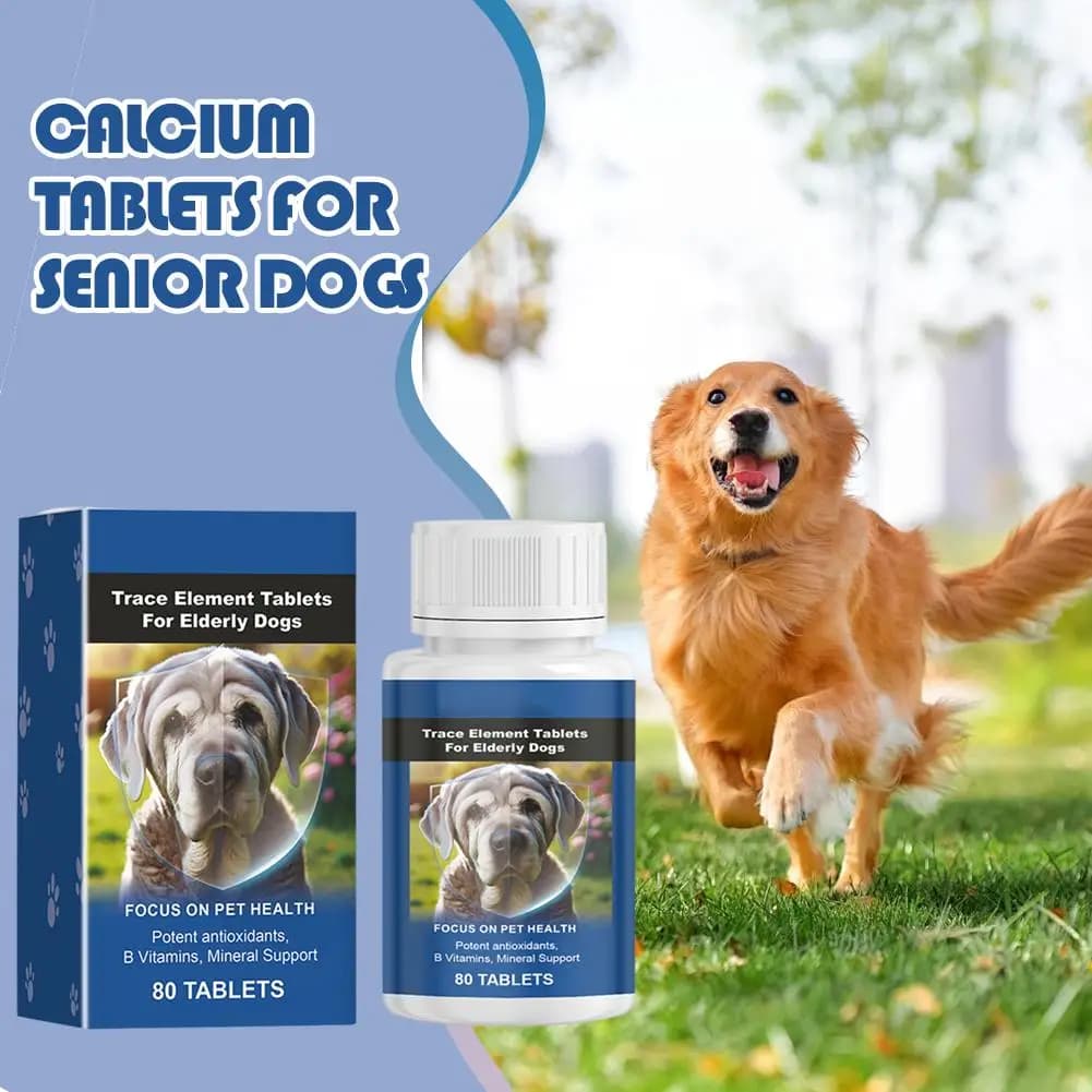 Complément minéral pour chiens seniors : Comprimés de calcium pour la protection osseuse