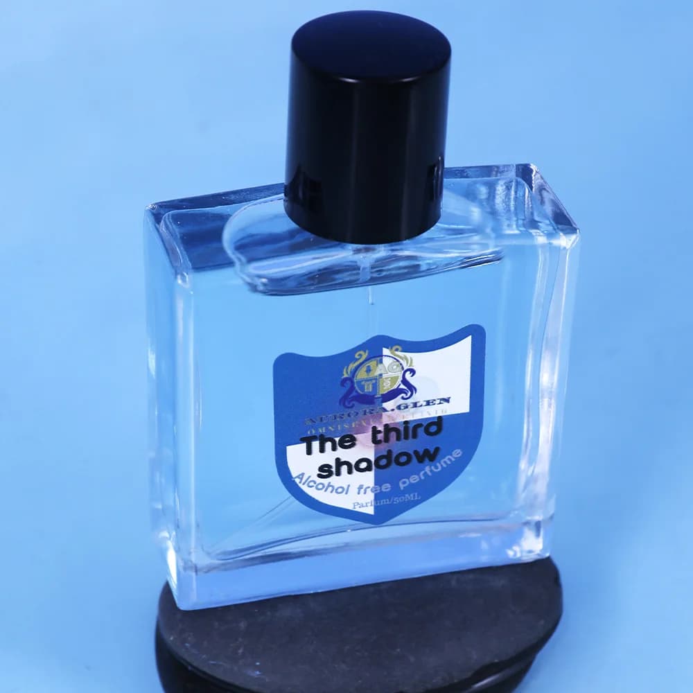 Parfum pour homme de marque originale, huile essentielle EDP 50 ml, parfum longue durée, parfum riche, notes boisées, sans alcool