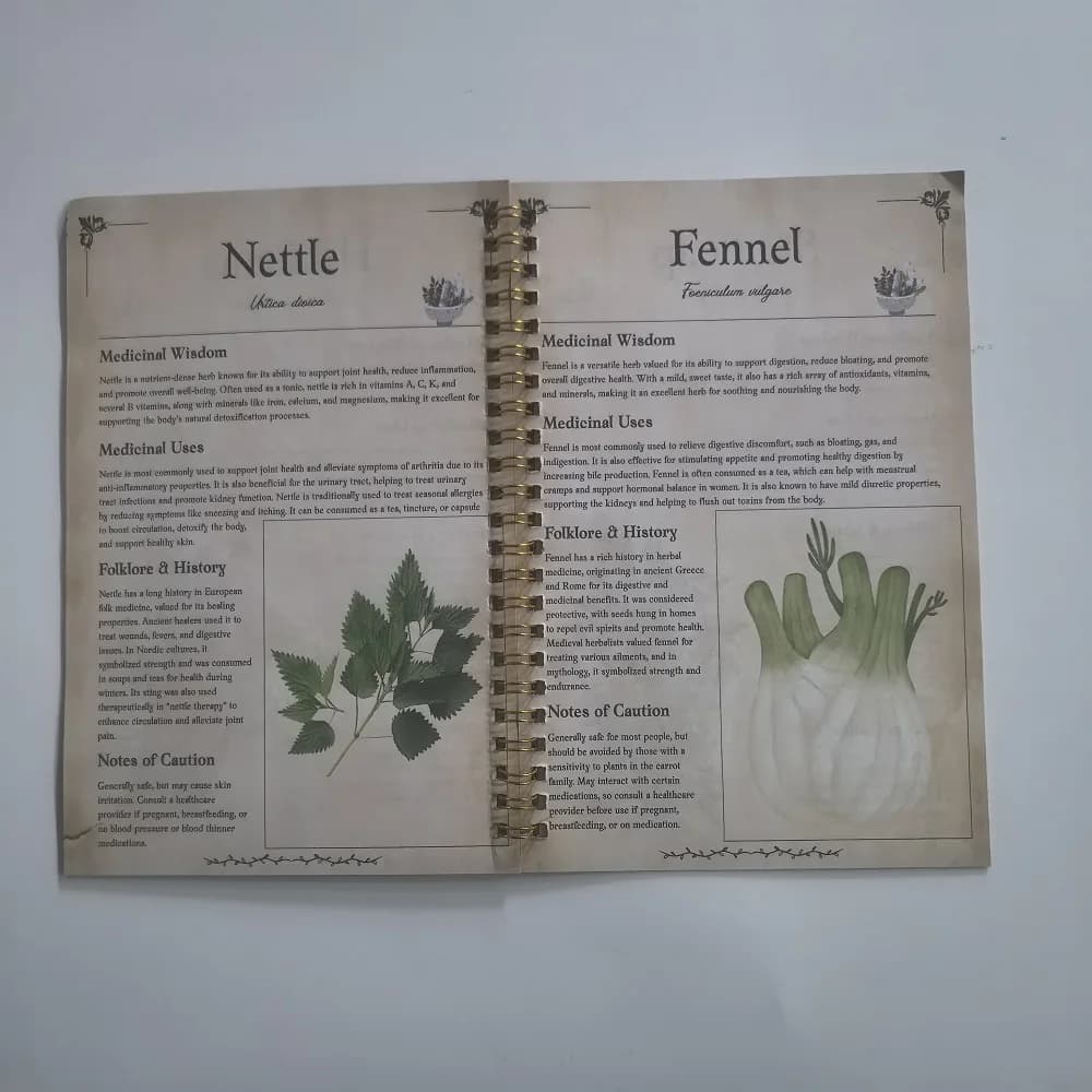 Livre de recettes de teintures