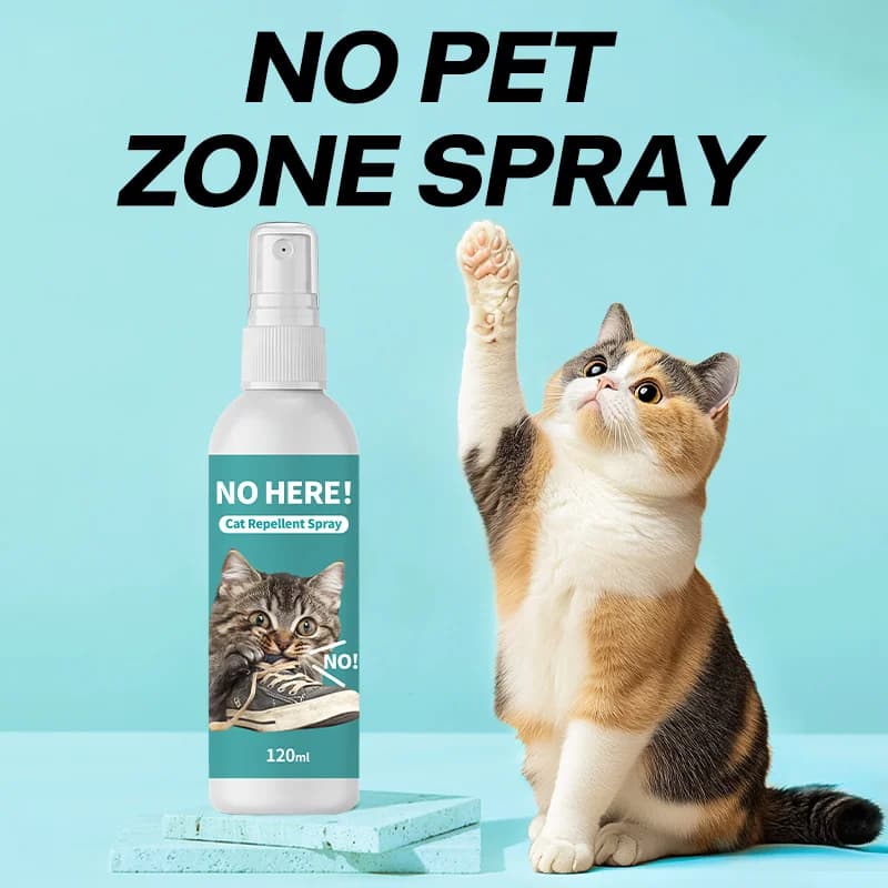 Zone d'exclusion pour animaux de compagnie Spray répulsif pour chat Spray à Induction répulsif pour chat Spray répulsif pour prévenir les désordre l'urine du chat