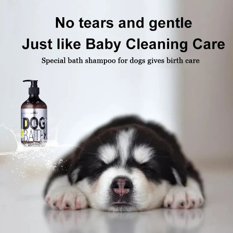 Shampoing pour animaux de compagnie pour chiens, peau sèche, soulagement des démangeaisons, bain Anti-puces, douche pour animaux de compagnie, Anti-touches, soins capillaires pour chats, Gel douche ne