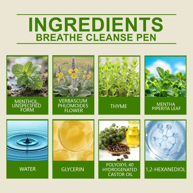 Diffuseur Purificateur d'Herbes 4-en-1 : Molène