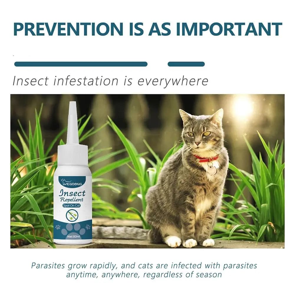 Gouttes anti-puces pour animaux de compagnie, traitement de la teigne, anti-insectes, anti-puces, anti-tiques, anti-insectes, anti-tiques, anti-tiques, anti-insectes, convient pour les chats, les sour