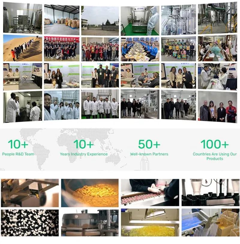 Livraison rapide mondiale AliExpress, emballage personnalisé, fortifiant nutritionnel, poudre de L-thréonate de magnésium à 99%, livraison rapide mondiale