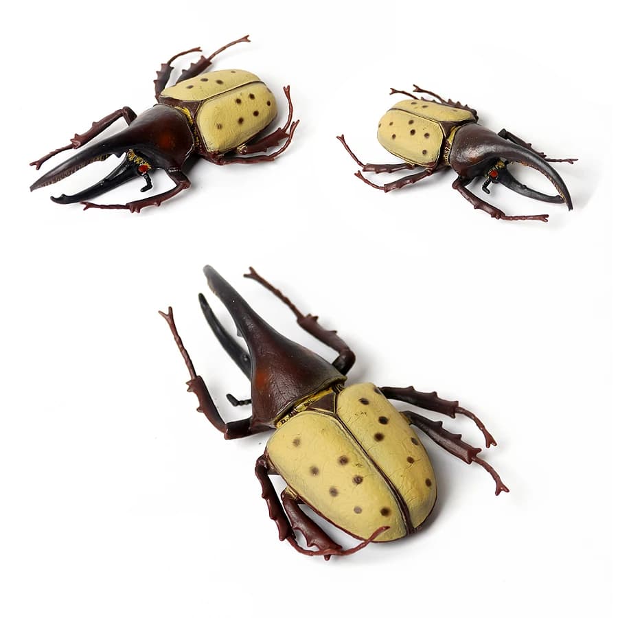 Figurines d'animaux d'insectes de Simulation, cigale, papillon, coccinelle, araignée, tarantule, Amoena, décorations, modèle de jouets, cadeau pour enfant
