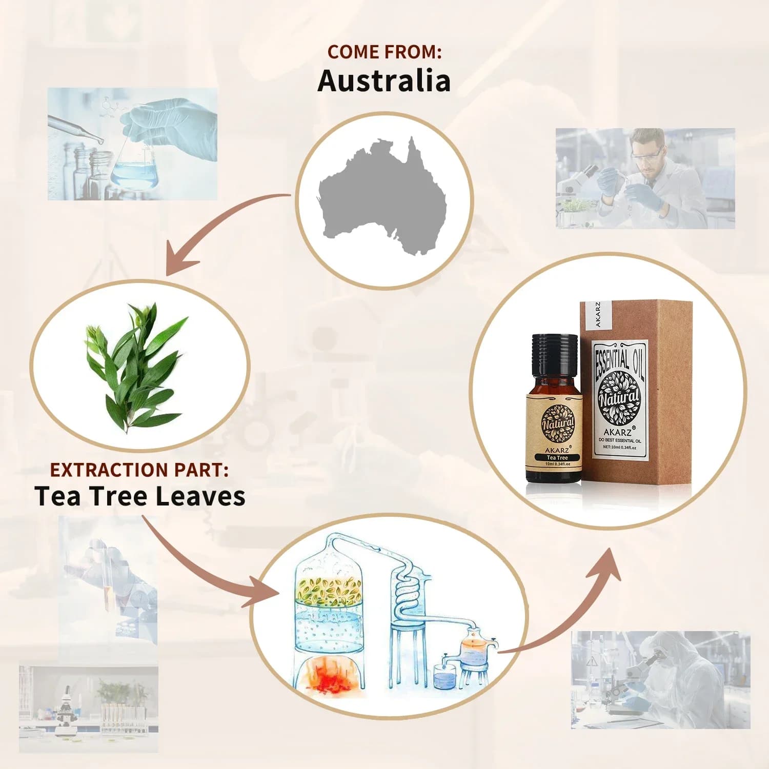 AKARZ-Huile essentielle de romarin naturel pour la peau et le corps, diffuseur d'arôme de massage, bougie de soins des cheveux, bricolage exécutif, Regina