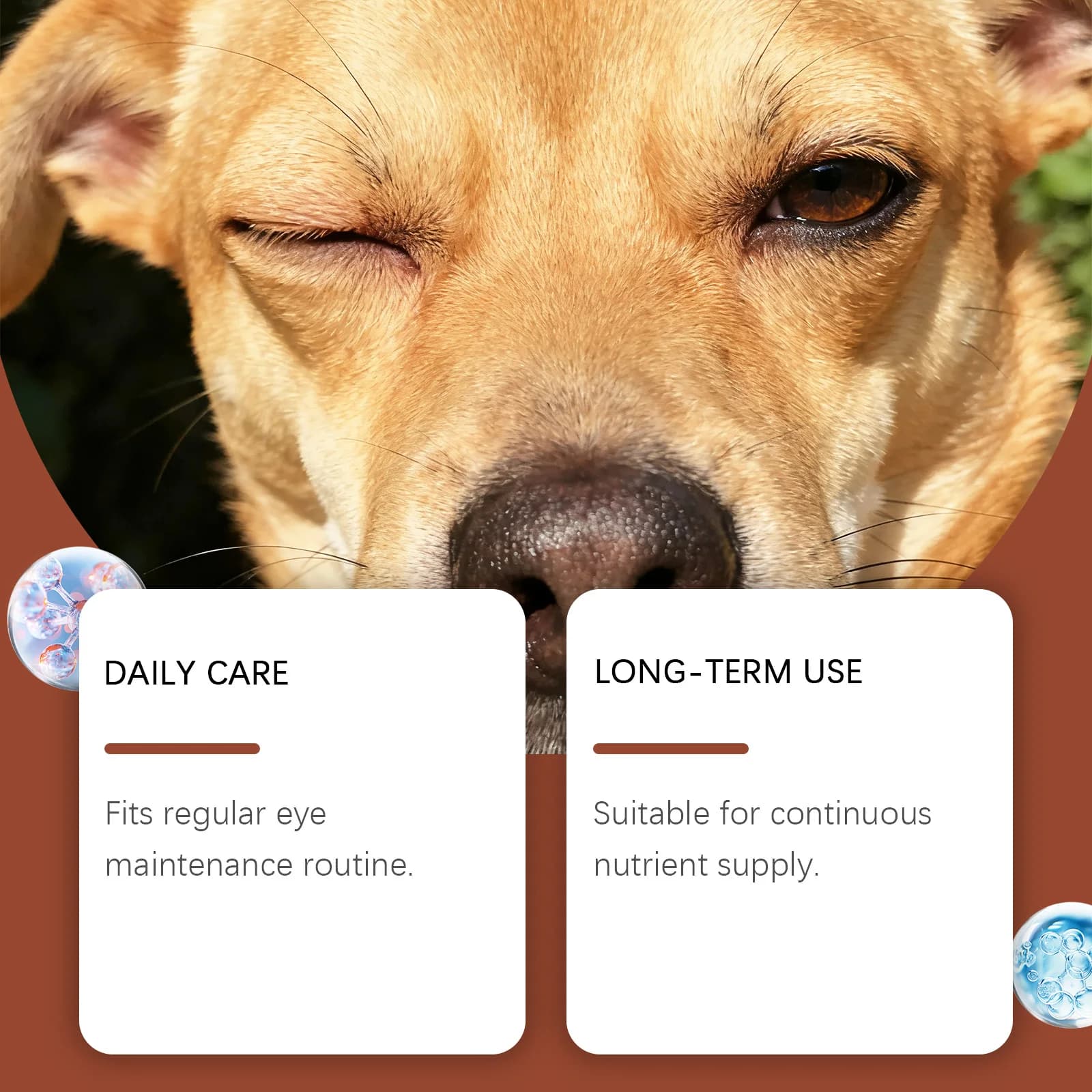 Gouttes pour les yeux des chiens, complément alimentaire, formule douce à la lutéine, soutien oculaire quotidien, adapté à tous les types de chiens, application orale facile