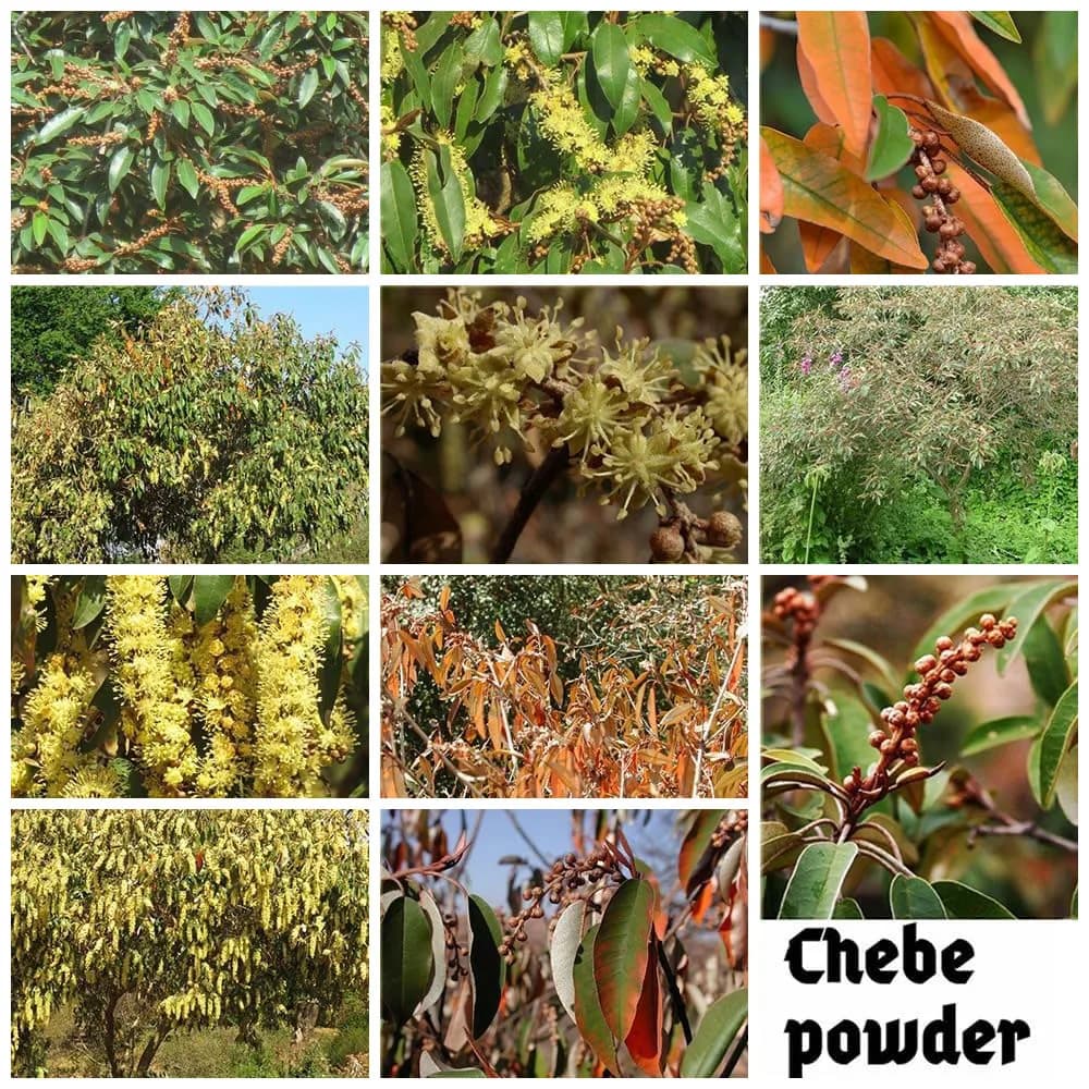 Chebe beurre 250g Afr herbes ricin Batana romarin soin des cheveux humidité