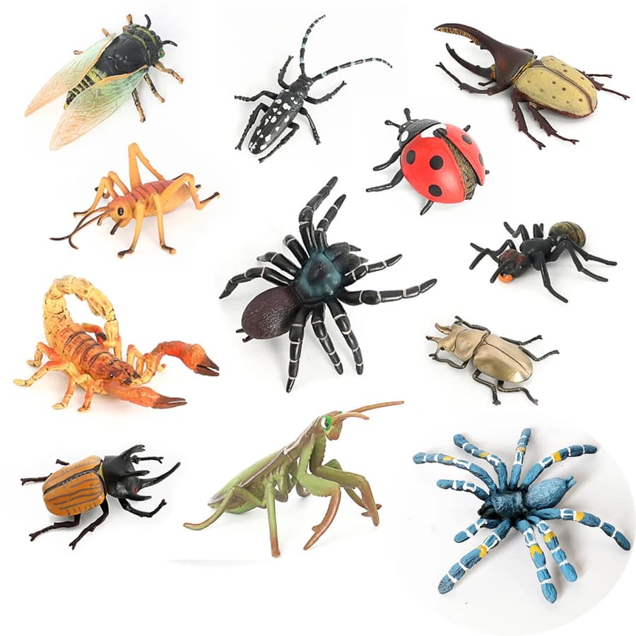 Figurines d'animaux d'insectes de Simulation, cigale, papillon, coccinelle, araignée, tarantule, Amoena, décorations, modèle de jouets, cadeau pour enfant