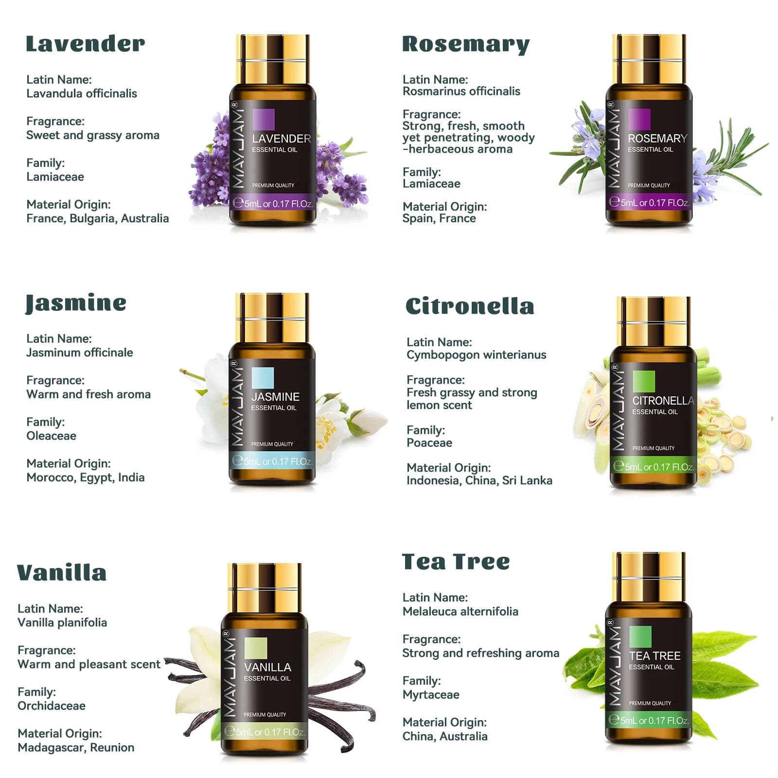 Kit d'huiles essentielles MAYJAM Lavande Vanille 20 flacons Huile d'aromathérapie Encens Patchouli Citronnelle Bois de Cèdre Cannelle Rose