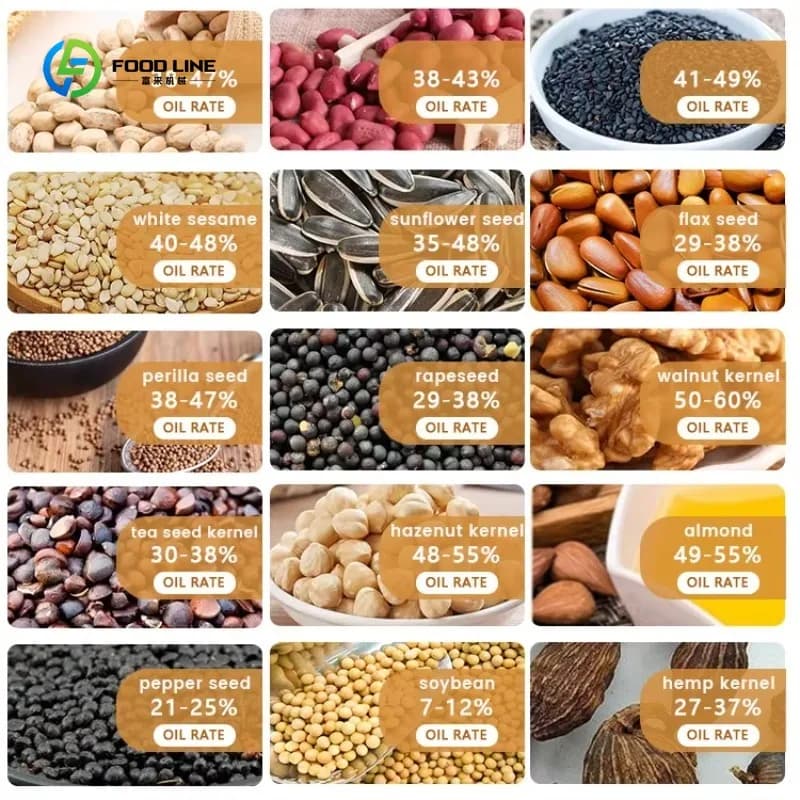 Presse à huile entièrement automatique pour une production efficace d'huile d'olive, de soja, de sésame et de noix, sur mesure