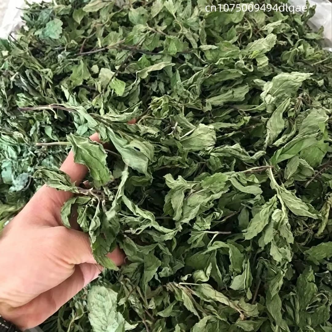 Feuilles de menthe naturelles séchées de haute qualité, poudre de menthe pour sachets, garniture pour bain de bouillotte, pot-pourri, décoration intérieure, fabrication de savons et de bougies