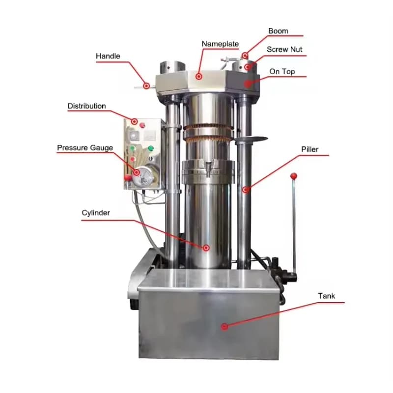 Machine personnalisée de presse à huile d'avocat pour l'extraction d'huile de soja de noix de piment d'olive Baobab opération facile offre spéciale