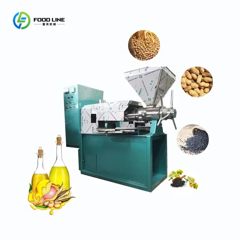 Presse à huile industrielle à vis pour palme, noix de coco et olive, à froid, nouvelle machine de production sur mesure pour petites et moyennes entreprises