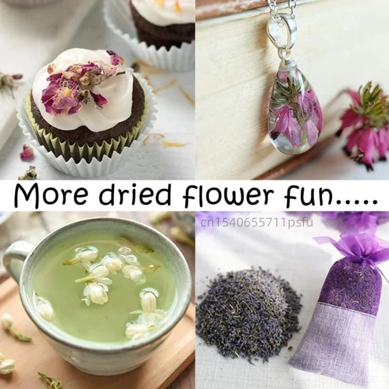 Fleurs de Camomille Séchées Naturelles Premium – Pure Herbe Naturelle pour l'Aromathérapie et les Projets DIY, Décoration Maison et Mariage