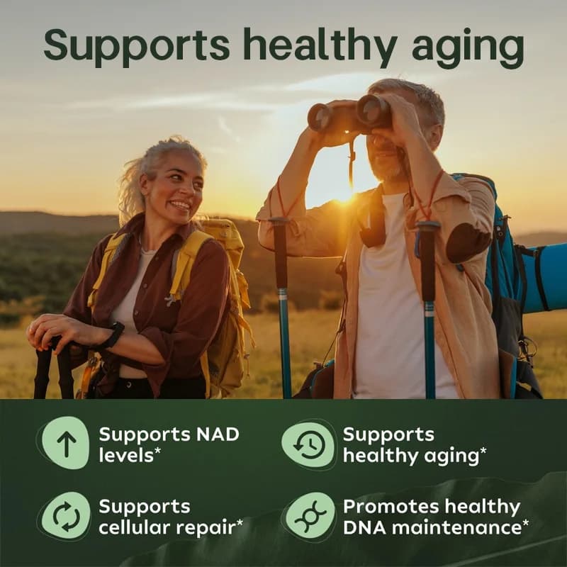 80/240/400 pilules pur NAD + Nicotinamide Nucleoside 900mg supplément de résvératrol capsules végétariennes Anti-âge