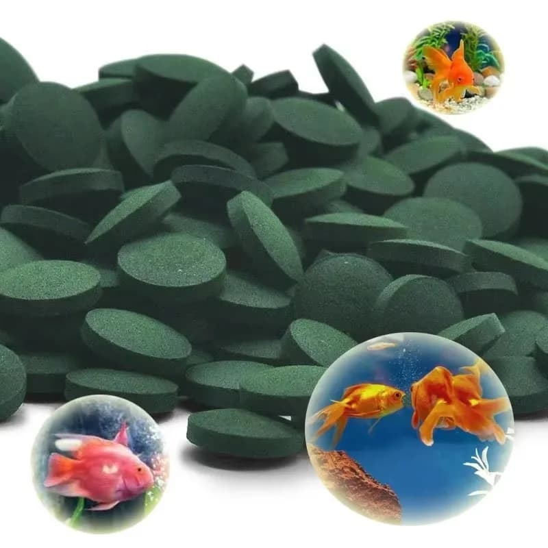 500-3000 pièces comprimés de spiruline de haute pureté spiruline sélénium riche nourriture pour poissons pour animaux de compagnie cristal rouge crevettes nourriture pour poissons aquarium spécial