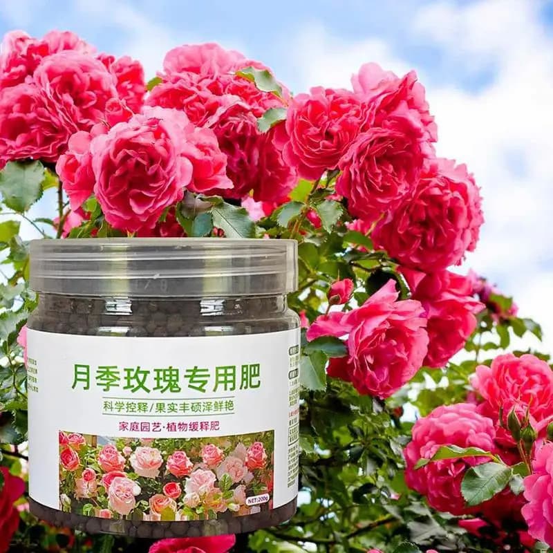 Rose Plant Food Navigateur de formule nutritionnelle, revêtement de technologie, fournitures professionnelles, 200g