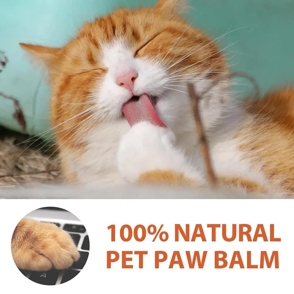 Baume pour pattes d'animaux de compagnie, soin des pieds, semelles, coussinet de pied, huile de protection pour chats et chiens, crème hydratante pour pattes d'hiver, fournitures pour animaux de compa