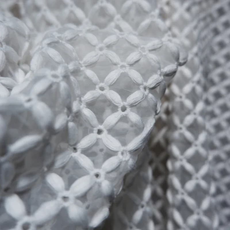 Organza Brodé Riz Grossier Mars