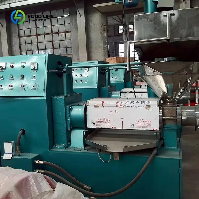 Presse à huile industrielle à vis pour palme, noix de coco et olive, à froid, nouvelle machine de production sur mesure pour petites et moyennes entreprises