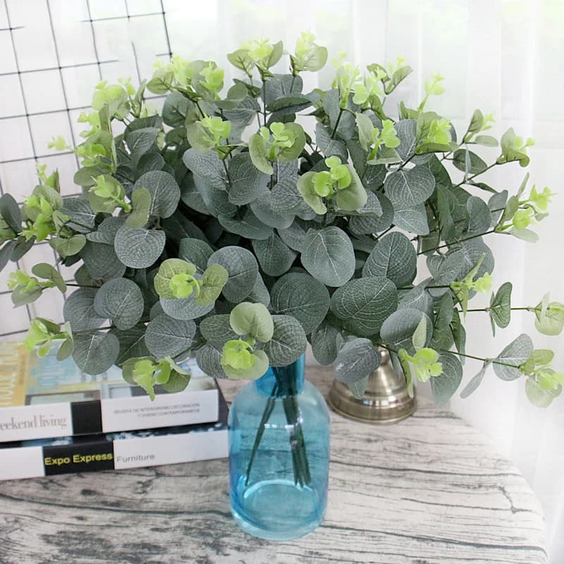 Feuilles d'eucalyptus vertes