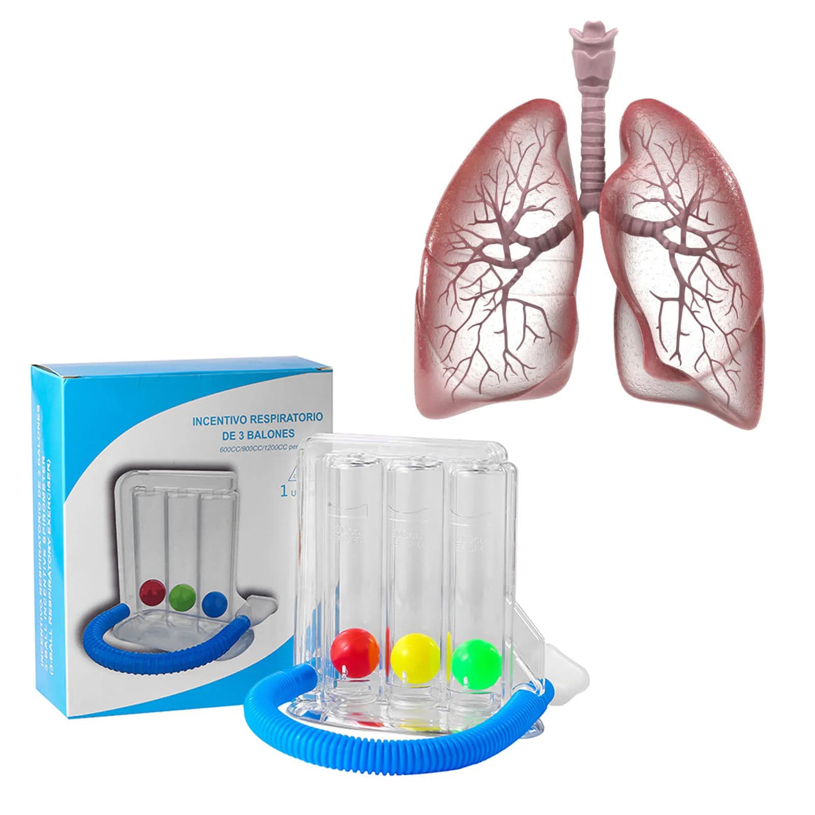 Exercice respiratoire exercice respiratoire exercice respiratoire exercice respiratoire exercice respiratoire système de mesure