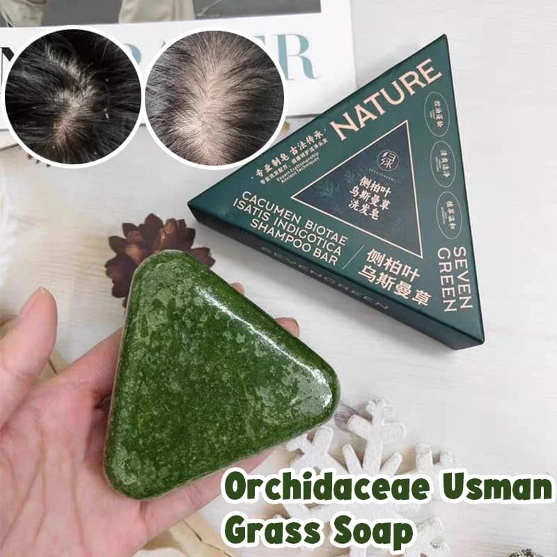 Shampoing à feuilles d'arborvitae orientales, savon, soulage les démangeaisons du cuir chevelu, renforce les racines des cheveux, contrôle de l'huile, Anti-pelliculaire, nouveau shampoing naturel