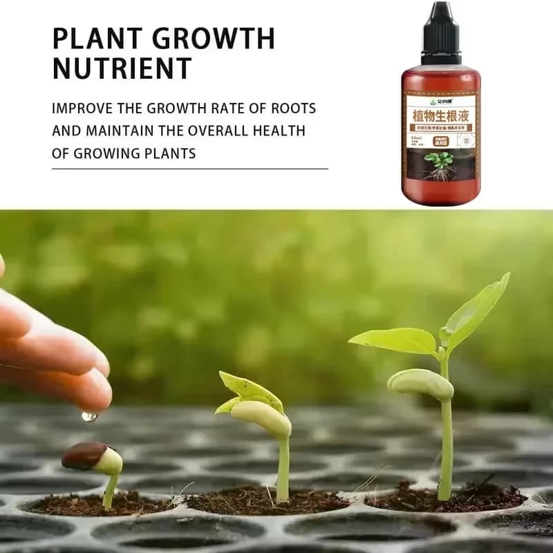 Stimulateur d'enracinement rapide pour plantes