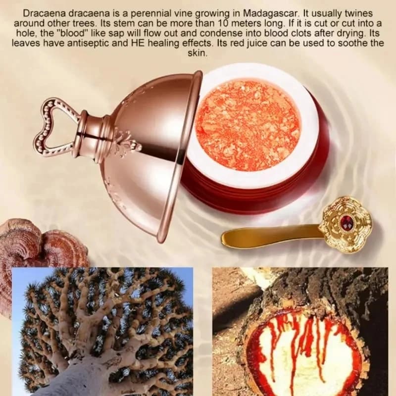 Crème pour le visage au sang de Dragon, rétinol, Placenta, Essence éclaircissante, raffermissante, soins pour la peau, cosmétiques coréens