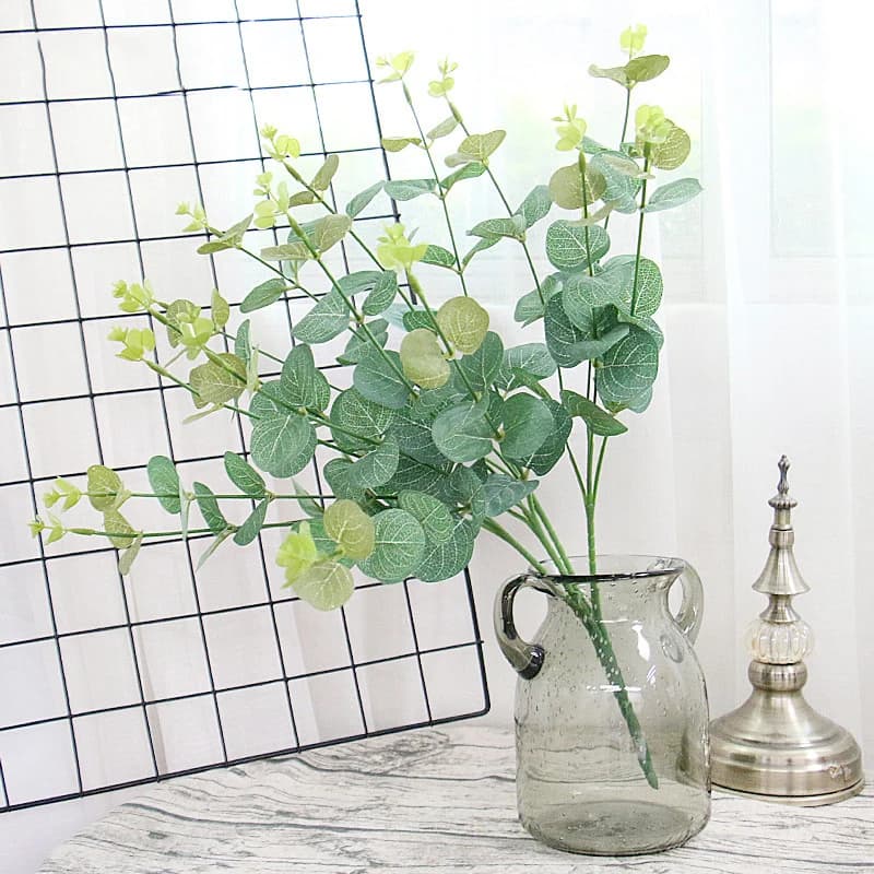Feuilles d'eucalyptus vertes