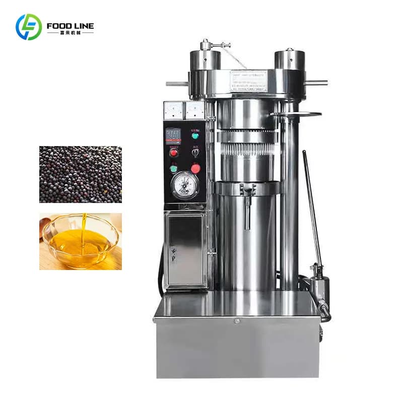 Extracteur d'huile miniature en acier inoxydable 304 pour appareils de cuisine