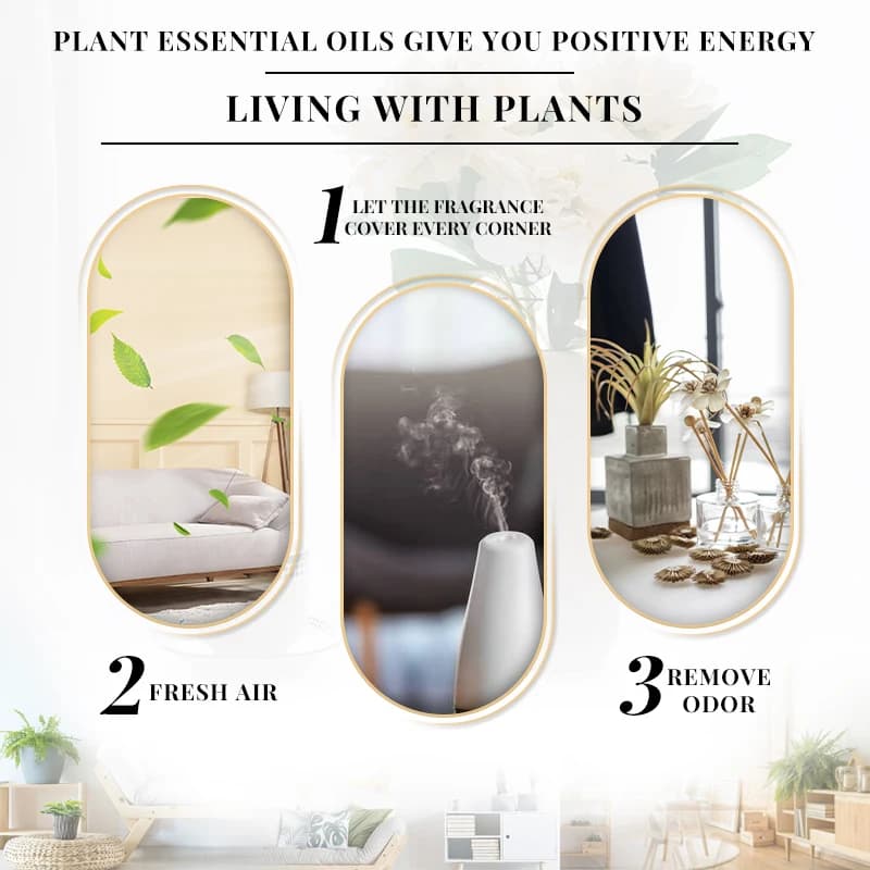 EVOKE OCCU 10mL huile essentielle, lavande jasmin Rose vanille huile naturelle Pure pour diffuseur humidificateur Massage bougie fabrication de savon