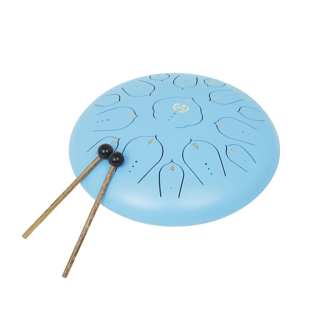 Tambour à langue en acier avec accessoires