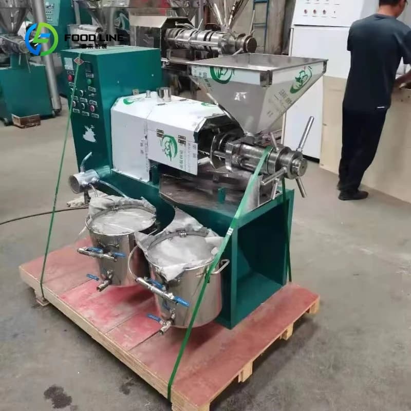 Machine industrielle personnalisée d'extraction d'huile 6YL-70-presse à huile de presse à froid de qualité alimentaire pour usage commercial