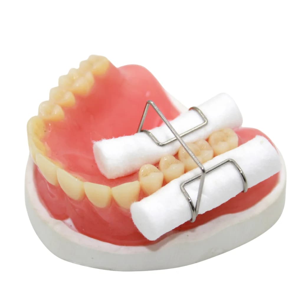 AG Lot de 4 pinces porte-rouleaux de coton dentaire 1 mm, en acier inoxydable autoclavable, maintien stable pour instruments et fournitures d'isolement dentaire