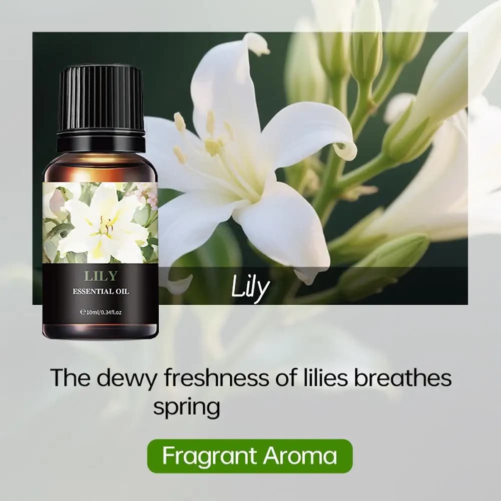 15 Huiles Essentielles Aromatiques pour Diffuseur d'Arômes et Humidificateur d'Air