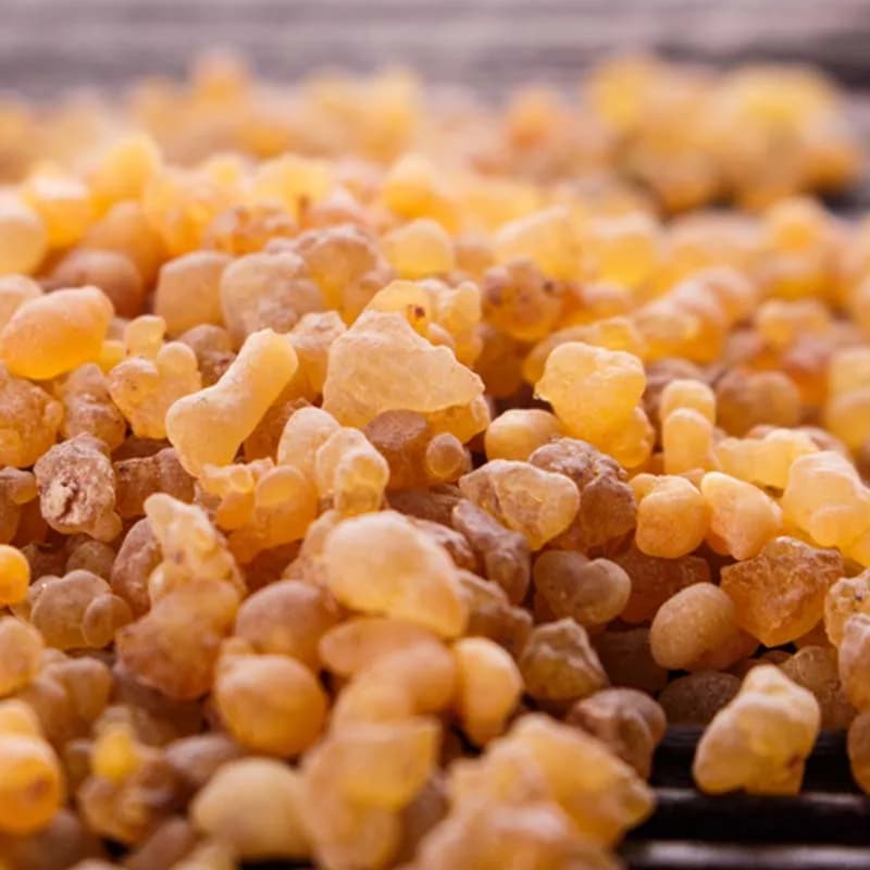 Résine d'encens organique Oliban, hydrolat de médecine, propre, continents ple Boswellia Frereana