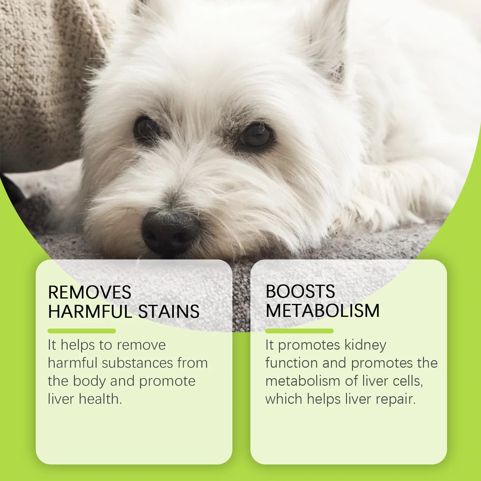 Gouttes de soin pour améliorer le métabolisme des cellules du foie, 60ml, pour chiens, augmente la nutrition, revitalise l'énergie de votre chien, supplément complet
