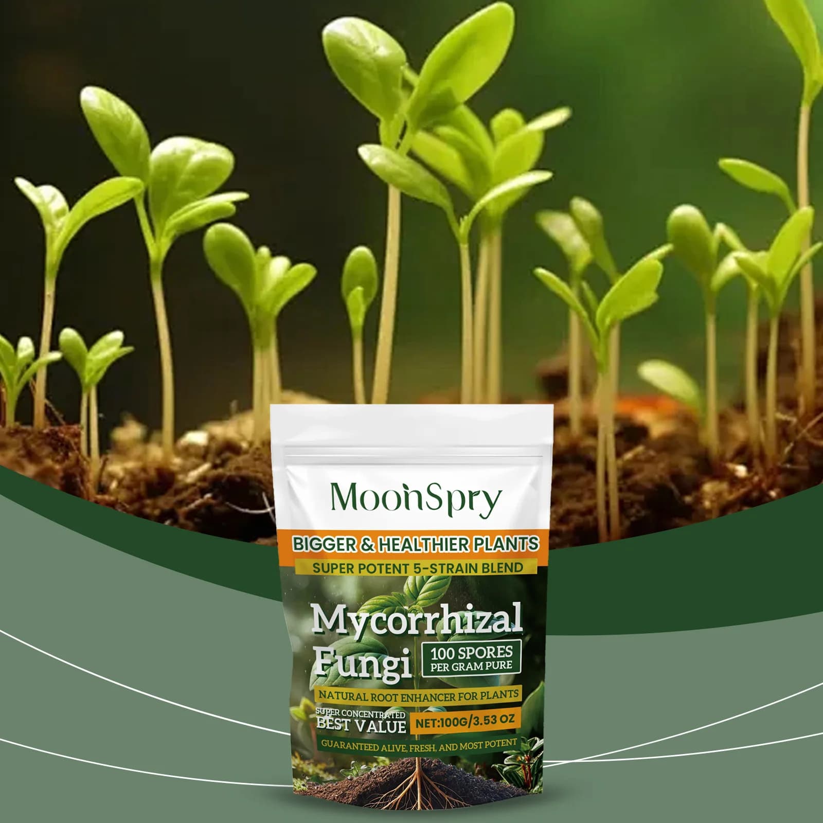 Poudre d'amélioration du système racinaire des plantes biologiques ; Complément nutritif pour les racines des plantes de jardin, améliore la nutrition du sol, poudre nutritive pour les plantes